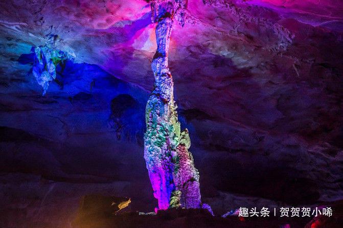 硕大的苹果