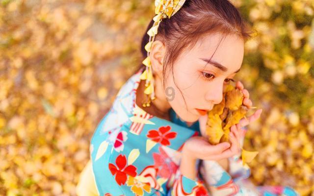 梦幻西游电脑版